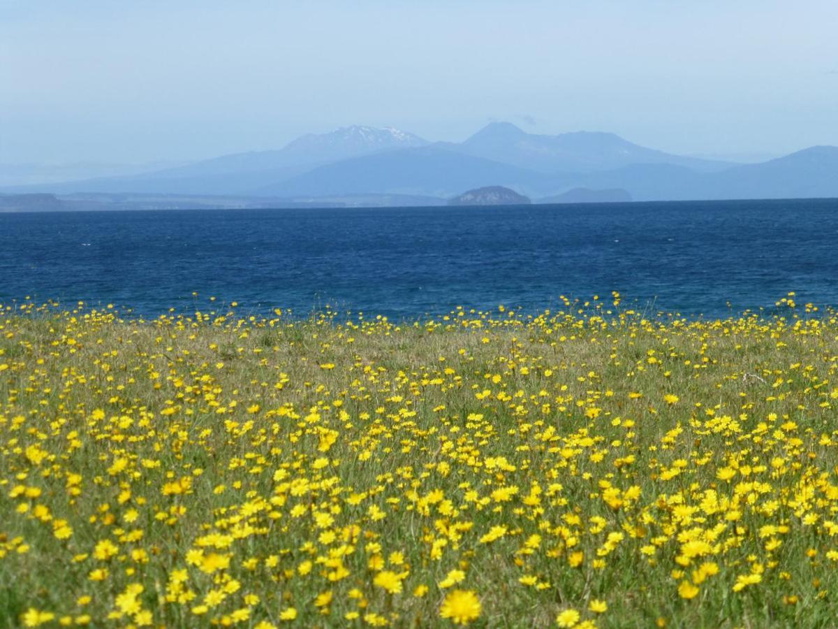 You Little Beauty - Wharewaka Beach Magic Taupo Exteriér fotografie